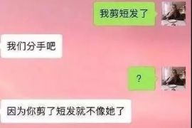 东西湖专业讨债公司有哪些核心服务？